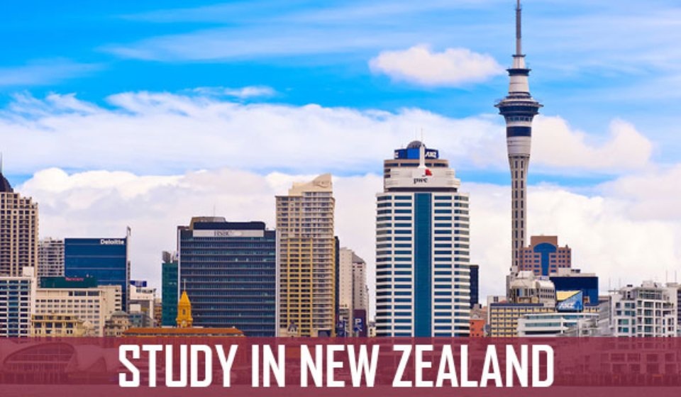 Study Abroad New Zealand